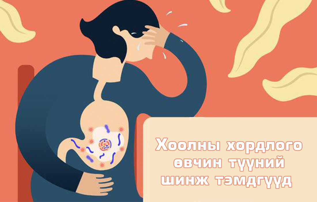 ХООЛНЫ ХОРДЛОГО ӨВЧИН, ТҮҮНИЙ ШИНЖ ТЭМДГҮҮД