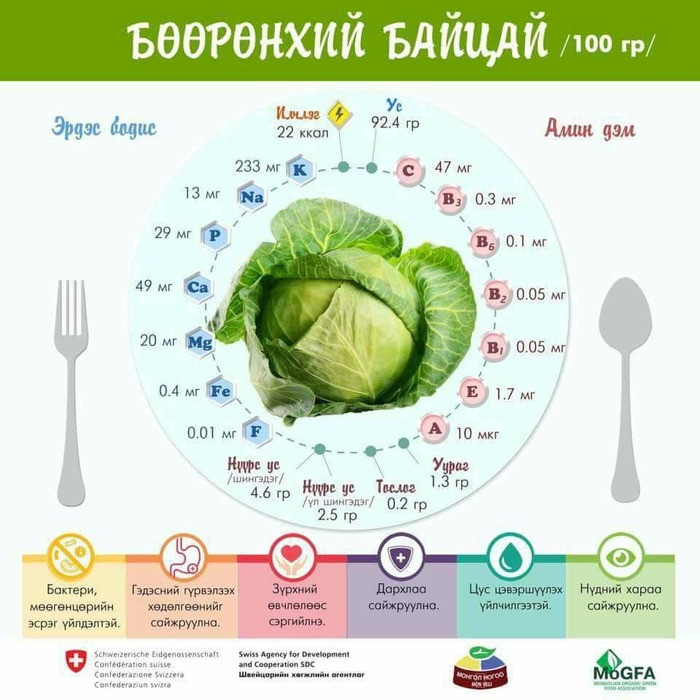 Ногоон өнгөтэй ногооны ач тус