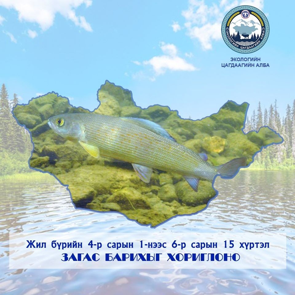 Хориотой үед загас агнавал нөхөн төлбөр буюу торгууль төлөхийг анхааруулж байна.