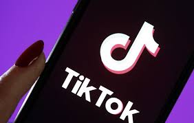 “TikTok” хавсралтыг хориглохыг Засгийн газартаа уриалж магадгүй байна