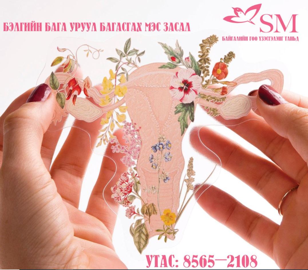 SM ЗӨВЛӨЖ БАЙНА | Эмэгтэйчүүдийн пластик мэс засал