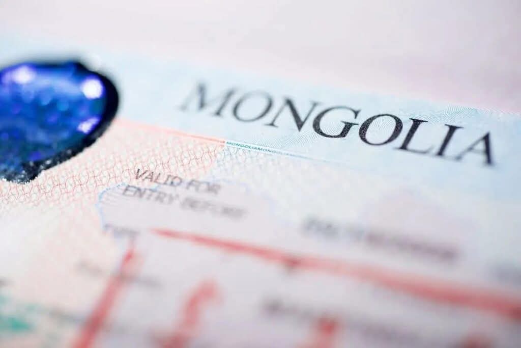 Монгол Улсад энэ сард 7330 гаднын иргэнд цахим виз олгожээ