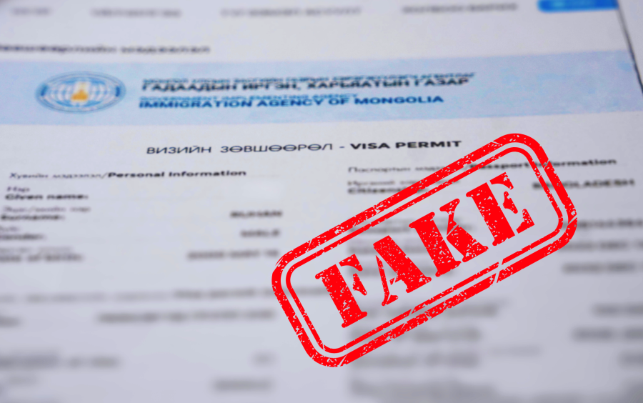 Хуурамч визийн зөвшөөрөл ашиглан манай улсад зорчихыг завджээ