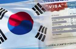 БНСУ-д эмчилгээний зорилгоор ирж буй иргэдийн асуудлыг хэлэлцэв