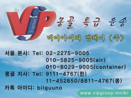 VIP КАРГО ХОЛБОГДОХ УТАС010-8029-9005,  010-5825-9005