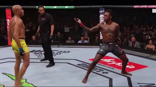 ADESANYA VS SILVA NINJA FIHGT HIGHLIGHTS