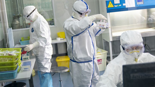 Бээжингийн захын коронавирус Европынхоос өөр болох нь тогтоогджээ