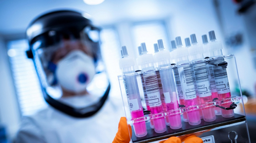 Гепатитийн эм өвчтөнүүдэд сайн нөлөөтэй байна