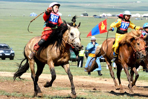 Өнөөдөр азарга, их нас, эрлийз дээд насны морьд уралдана