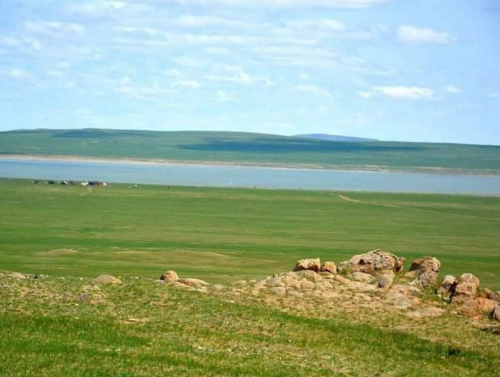 Хэсгийн төлөөлөгч, цагдаа нар 4 хүүхдийн амь насыг аварчээ