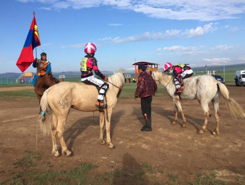 Үндэсний их баяр наадамд 174 хурдан азарга бүртгүүлсэн байна
