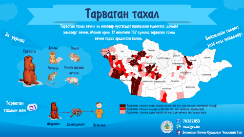 Хөвсгөл, Баян-Өлгий, Ховд, Завхан, Өвөрхангай аймаг тарваган тахлын идэвхтэй голомттой байна