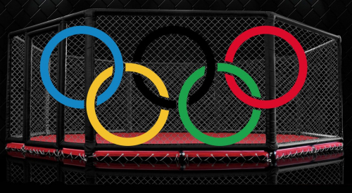 Армен Гулян: 2028 онд холимог тулаан олимпын хөтөлбөрт орно