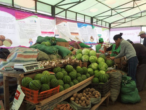 “Намрын ногоон өдрүүд-2020” үзэсгэлэн худалдаа энэ сарын 21-нийг дуустал үргэлжилнэ