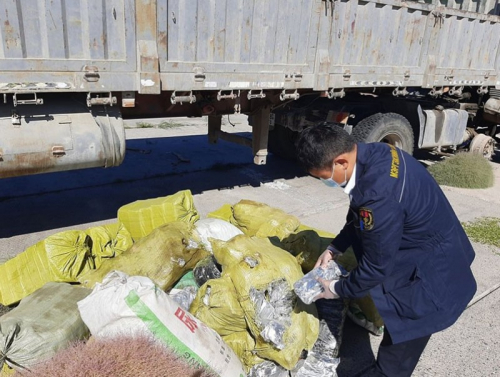 Адууны хатаасан өлөн гэдэс, ургамлын үр хууль бусаар хил давуулахыг завджээ