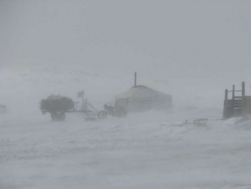 Ард иргэдийн анхааралд!