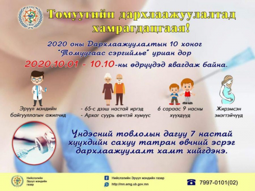 Томуу болон сахуу татран өвчний эсрэг вакцинд хэрхэн хамрагдах вэ?