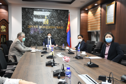Эрүүл мэндийн сайд Т.Мөнхсайхан ДЭМБ-ын гишүүн орнуудын сайд нарын уулзалтад оролцов
