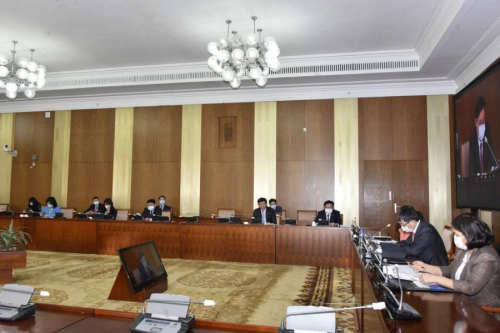 Засгийн газарт чиглэл өгөх тогтоолын төслийг дэмжив