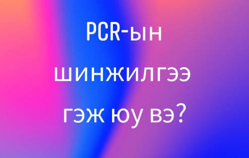 PCR-ЫН ШИНЖИЛГЭЭ ГЭЖ ЮУ ВЭ?