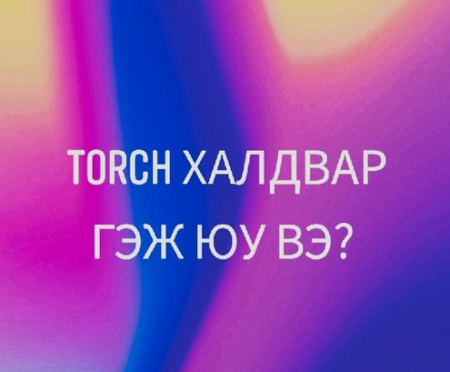 TORCH халдвар гэж юу вэ ?