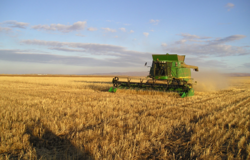 Хаврын тариалалтад ковидын нөлөөг тусгахгүй байх боломж бий
