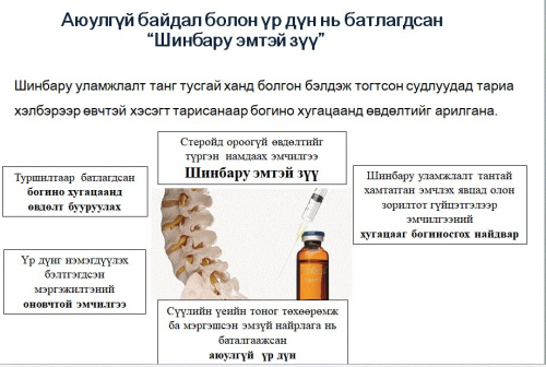 "Часэн" Эмнэлгийн "Шинбару" Эмтэй зүү гэж юу бэ?