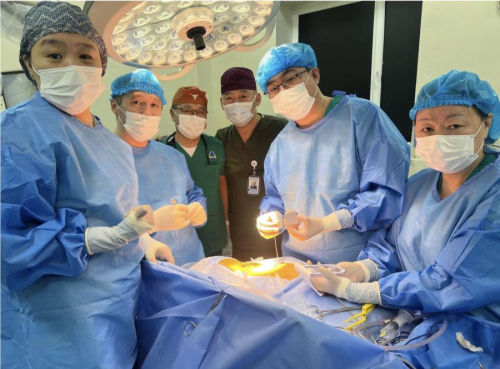 Монголд анх удаа тэнэгч мэдрэлийг өдөөх мэс засал хийжээ