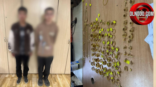 260 сая төгрөгийн үнэт эдлэл хулгайлсан бүлэг этгээдүүдийг илэрүүлжээ.