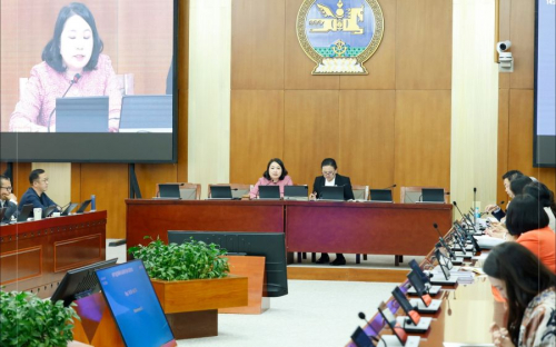 Үл хөдлөхийн 2 хувийн татварыг хүчингүй болгох асуудлаар хуулийн төсөл санаачлахыг дэмжив