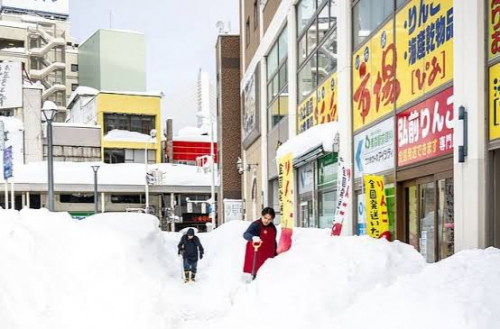 Японд их хэмжээний цас орсны улмаас 30 хүн нас баржээ
