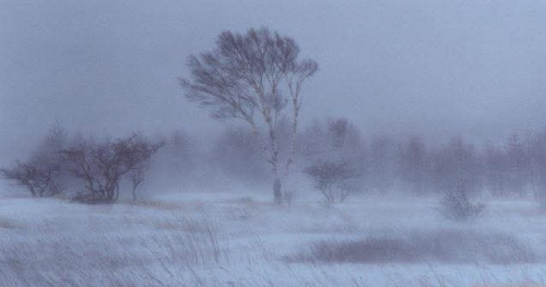 Ихэнх нутгийг хамарч нойтон цас орж, цасан шуурга шуурна.