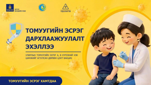 Томуугийн эсрэг дархлаажуулалт эхэллээ
